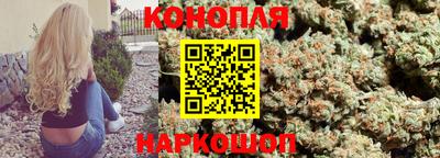 mdpv Севастополь