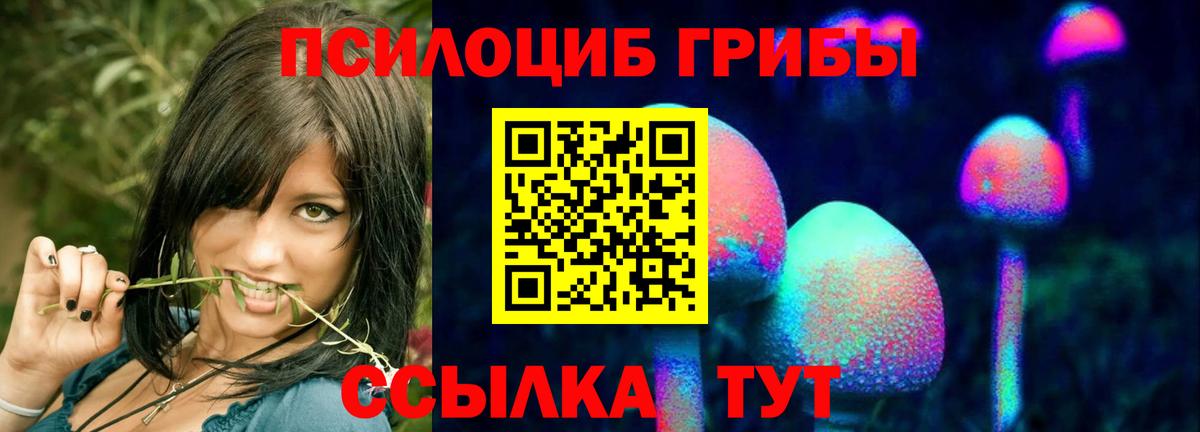Псилоцибиновые грибы прущие грибы Сердобск